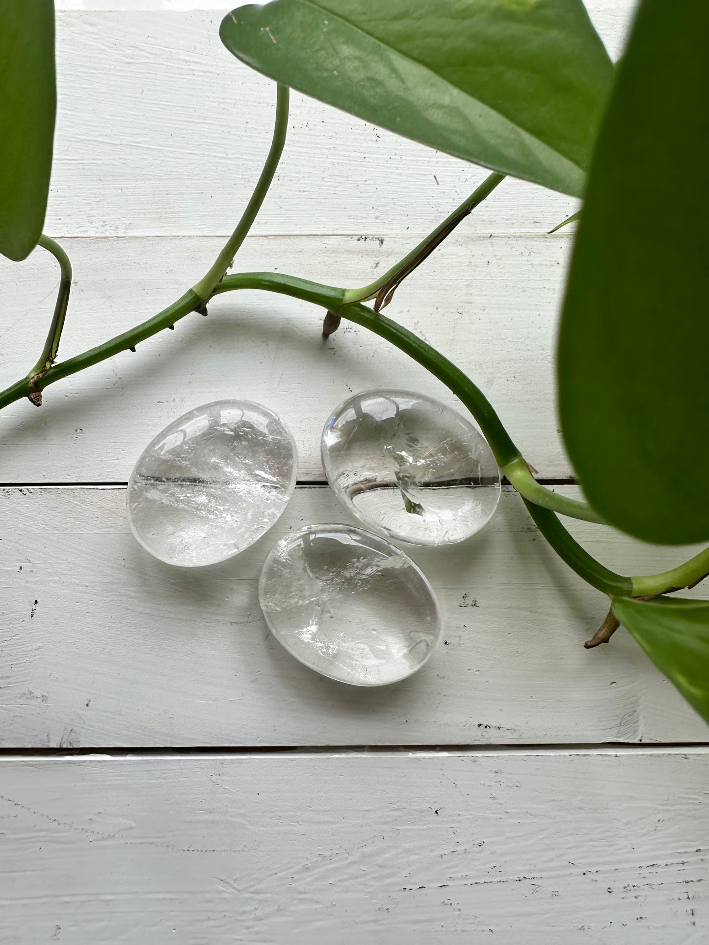 Clear Quartz Palms - Amplifies - Wisdom - Patience